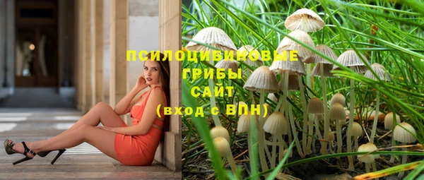 шишки Балахна