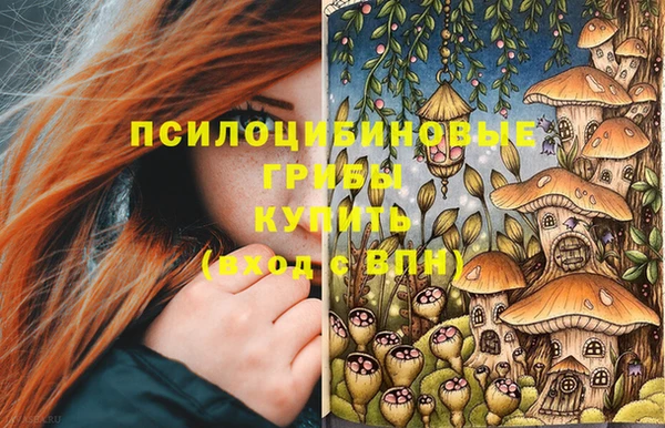 шишки Балахна