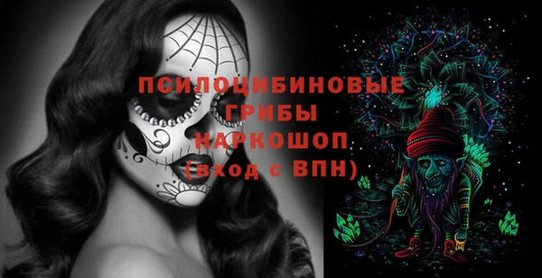 шишки Балахна