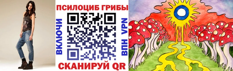 Галлюциногенные грибы ЛСД  сайты даркнета официальный сайт  Сусуман 